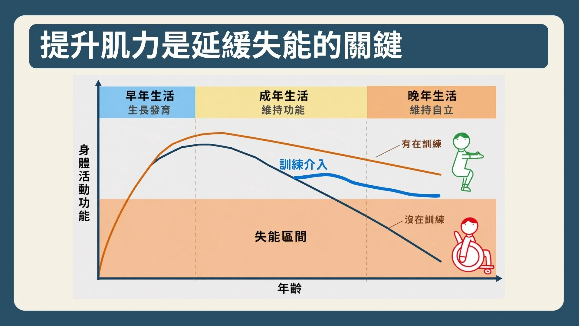 提升肌力是延緩失能的關鍵:有在訓練與沒在訓練的身體活動功能隨年齡變化對照圖
